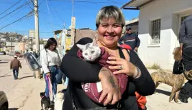 Atienden propietarios responsables de mascotas convocatoria para esterilizarlas