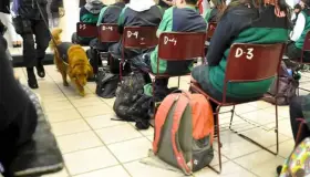 Pide la AEPAF realizar ‘operación mochila’ en escuelas
