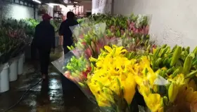 Se hace tendencia regalar flores el 29 de febrero