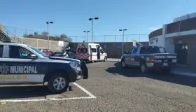 Localizan vehículo robado y lo regresan a su dueño