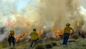 Exhorta la UMPC a evitar incendios forestales