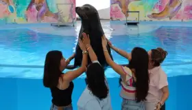 Por días de asueto, el delfinario Sonora ampliará su atención