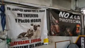 Invitan a bazar en pro de los animales