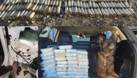 Incauta la CBP casi un millón de pastillas de fentanilo