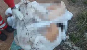 Rescatan a dos hombres que dejaron lesionados en predio despoblado