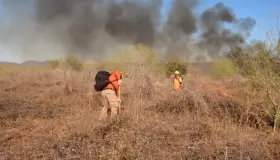 Sofocan incendio forestal en Quiriego