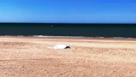 Muere ahogado  unresidente de Arizona