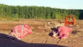 Asesinan a madre e hijatras privarlas de la libertad