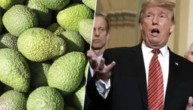 Sería catastrófico cierre de frontera