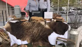 Graduación de Diplomado Mujeres EmprendedorasBecadas por la Universidad de Arizona