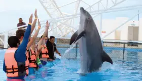 Registran excelente afluencia