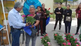 Entregan 150 plantasde ornato en Nogales