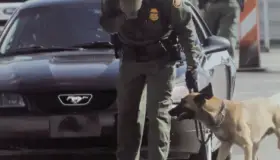 Anuncian incentivos para la BP