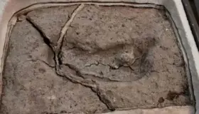 Descubren la huella humana más antigua del mundo