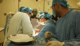 Logran segunda donaciónmultiorgánica en Sonora