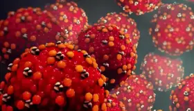 Alarma incremento de sarampión