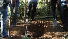 En 6 meses hallan 222 fosas ilegales y exhuman 337 cuerpos