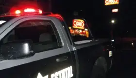 Localizan cráneo humano