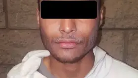 Cargaba con materia
de lo robado; detenido