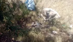 Arrojan bultos de
desperdicio laboral