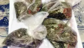 Detienen a cuatro conporciones de drogas