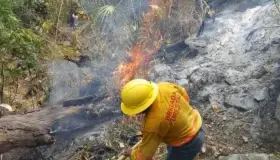 Aún hay 6 incendios forestales activos en Oaxaca