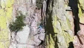 Rescatan a migrante de acantilado