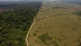 Deforestación en la Amazonía de Brasil crece a ritmo aterrador