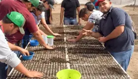 Producen y distribuyen
mezquites estudiantes 