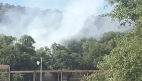 Continúa incendio en El Bellotoso