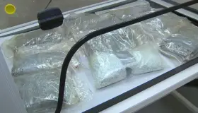 Asegura 73 mil píldoras de fentanilo