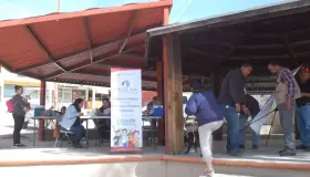 Vacunarán a las mascotas