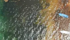 Quintana Roo destina recursos millonarios contra sargazo