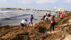 ‘Lo del Sargazo… lo vamos a resolver sin problemas’