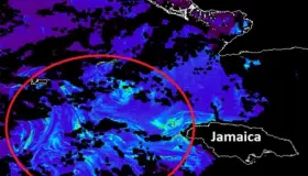 Satélites detectan 'enorme' mancha de sargazo; llegaría a Cancún