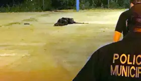 Muere mujer arrollada en carretera