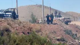 Denuncian robo de caballo