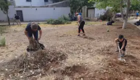 Colaboran a reforestar varios puntos citadinos