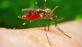 Aumentan casos del Virus del Nilo