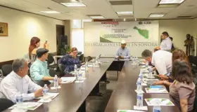 Realizan foro sobre reforestación