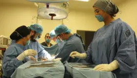 Logran cuarta donación multiorgánica en Sonora