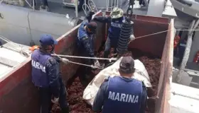 Marina retira 38 mil 892 toneladas de sargazo en casi 3 meses