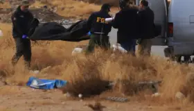 Hallan 28 restos óseos en fosas clandestinas en Chihuahua