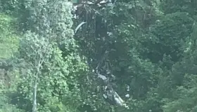 Mueren titulares de SSP-Michoacán y Seguro Popular tras desplome de helicóptero