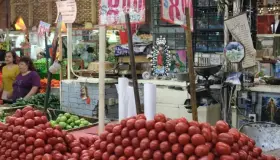 Reportan avance del 0.1% en PIB durante segundo trimestre