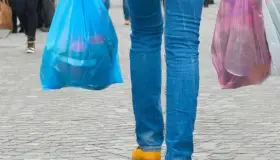 Prohibir bolsas de plástico no resolverá daño ecológico, dicen