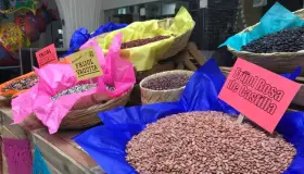 Lanzan campaña para proteger ingredientes de comida mexicana