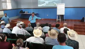 Apoyarán a los productores