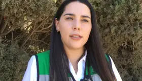 Capacitan a maestros sobre ciberdelitos