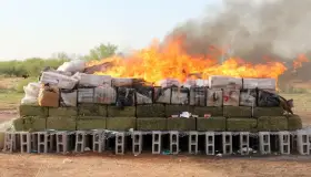 Incineran toneladas de narcóticos